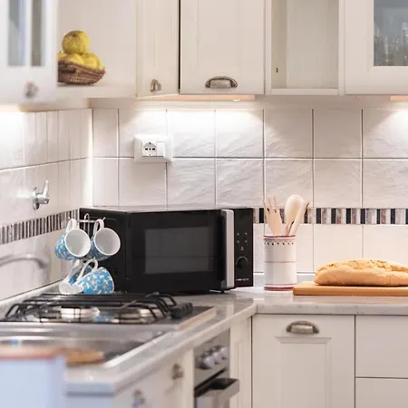 Spacious Family Flat S. Spirito 8 Sleeps Firenze